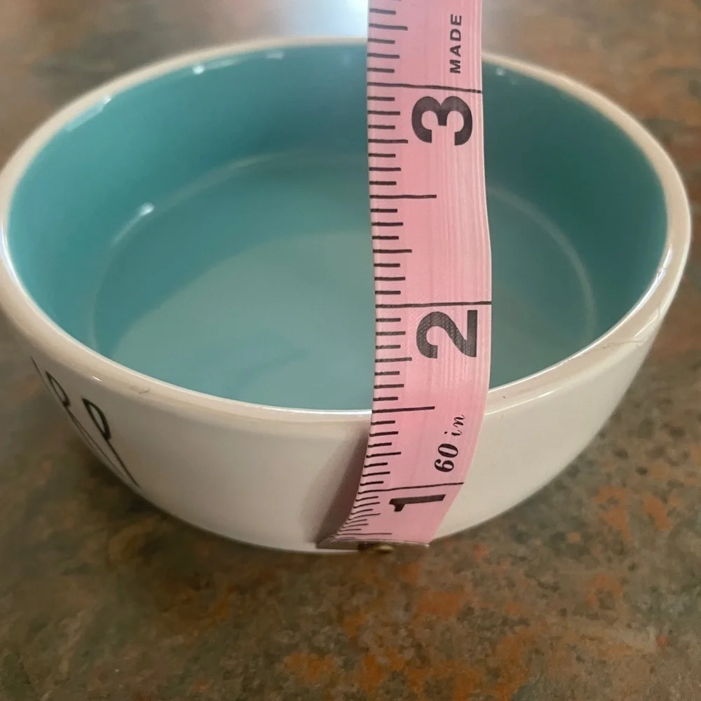 *host pick* Rae Dunn Small Dog/Cat Water Bowl Teal Inside